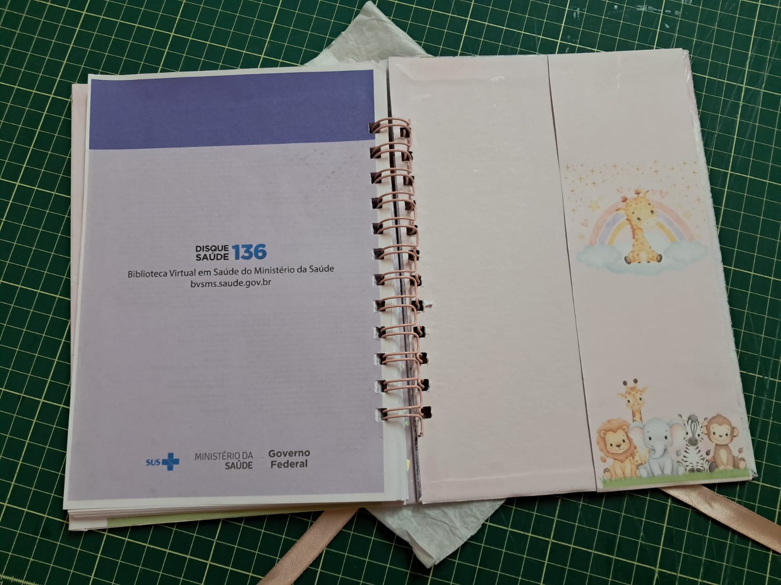 Caderneta de Vacinação